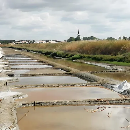 Les Salines D'olonne - Oasis *