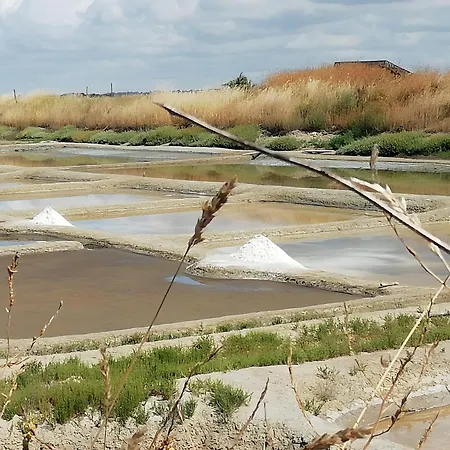 Prázdninový dům Les Salines D'olonne - Oasis Les Sables-dʼOlonne