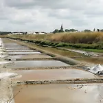 Les Salines D'olonne - Oasis *