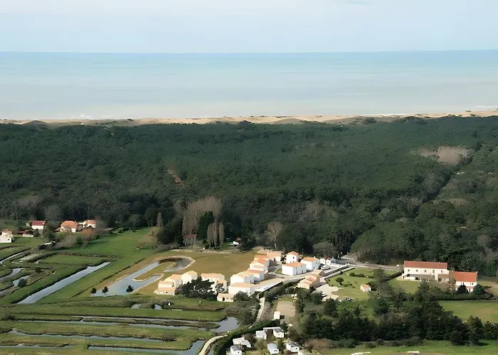 Les Salines D'olonne - Oasis * Les Sables-dʼOlonne