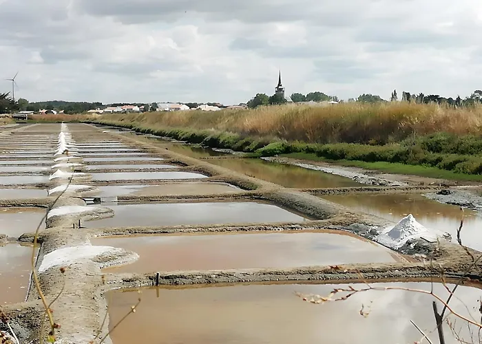 Les Salines D'olonne - Oasis *