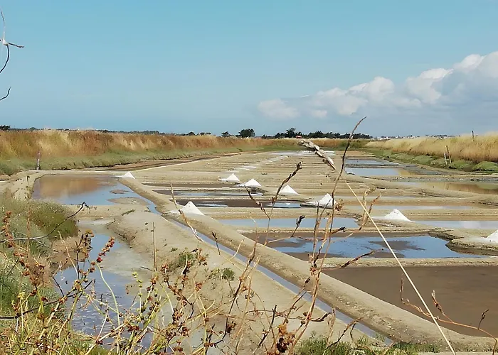 Les Salines D'olonne - Oasis Prázdninový dům