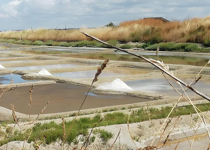 Prázdninový dům Les Salines D'olonne - Oasis Les Sables-dʼOlonne
